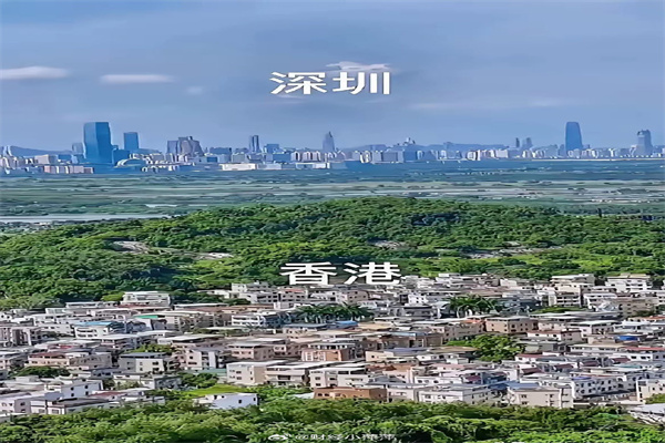 2024年券商资管赚钱能力大扫描:5家营收破10亿元 这家知名资管却亏损超5亿