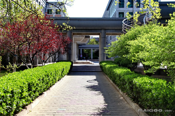 施建新医生-北京京医中医医院说前列腺中医_治疗_中药_患者