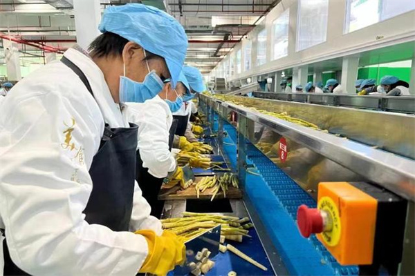 还要跌?机构欧元美元最新走势分析预测