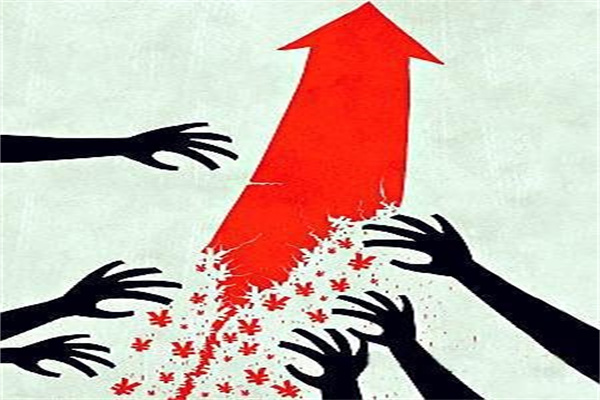 阿迪达斯受关税压力将上调美国售价