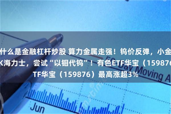 什么是金融杠杆炒股 算力金属走强！钨价反弹，小金属多股涨停！SK海力士，尝试“以钼代钨”！有色ETF华宝（159876）最高涨超3%