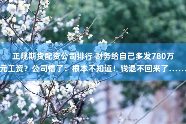 正规期货配资公司排行 财务给自己多发780万元工资？公司懵了：根本不知道！钱退不回来了……
