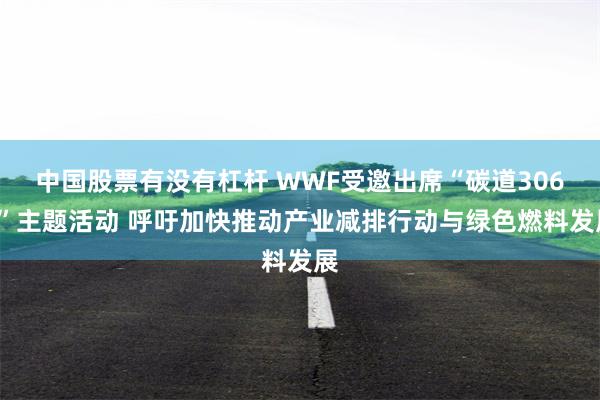 中国股票有没有杠杆 WWF受邀出席“碳道3060”主题活动 呼吁加快推动产业减排行动与绿色燃料发展