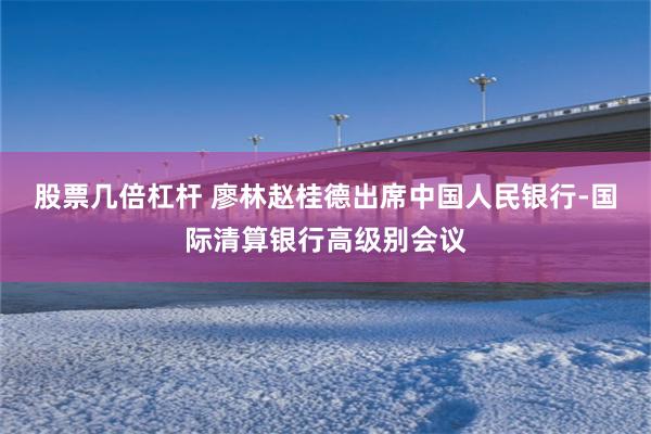 股票几倍杠杆 廖林赵桂德出席中国人民银行-国际清算银行高级别会议