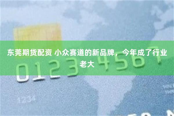 东莞期货配资 小众赛道的新品牌，今年成了行业老大
