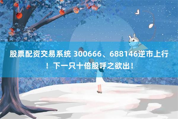 股票配资交易系统 300666、688146逆市上行！下一只十倍股呼之欲出！