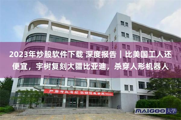 2023年炒股软件下载 深度报告｜比美国工人还便宜，宇树复刻大疆比亚迪，杀穿人形机器人