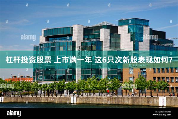 杠杆投资股票 上市满一年 这6只次新股表现如何？