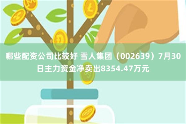 哪些配资公司比较好 雪人集团（002639）7月30日主力资金净卖出8354.47万元