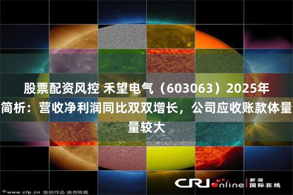 股票配资风控 禾望电气（603063）2025年中报简析：营收净利润同比双双增长，公司应收账款体量较大