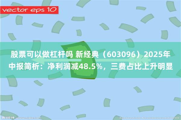 股票可以做杠杆吗 新经典（603096）2025年中报简析：净利润减48.5%，三费占比上升明显