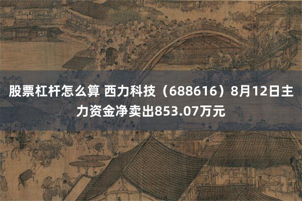 股票杠杆怎么算 西力科技（688616）8月12日主力资金净卖出853.07万元