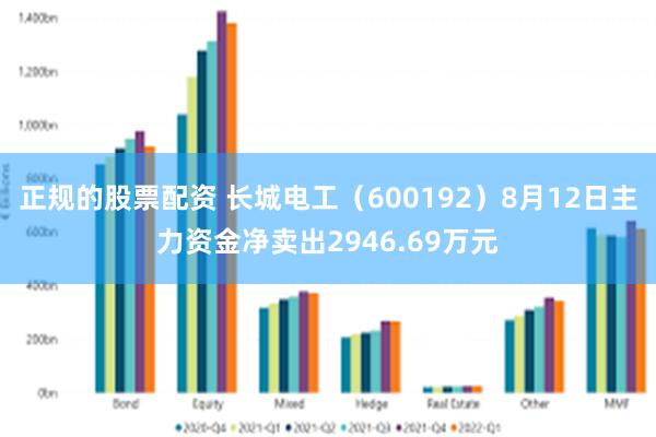 正规的股票配资 长城电工（600192）8月12日主力资金净卖出2946.69万元