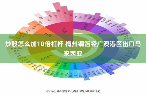 炒股怎么加10倍杠杆 梅州铜箔经广澳港区出口马来西亚