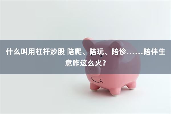 什么叫用杠杆炒股 陪爬、陪玩、陪诊……陪伴生意咋这么火？