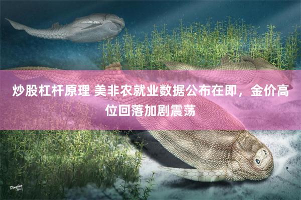 炒股杠杆原理 美非农就业数据公布在即，金价高位回落加剧震荡