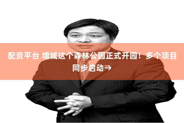 配资平台 增城这个森林公园正式开园！多个项目同步启动→