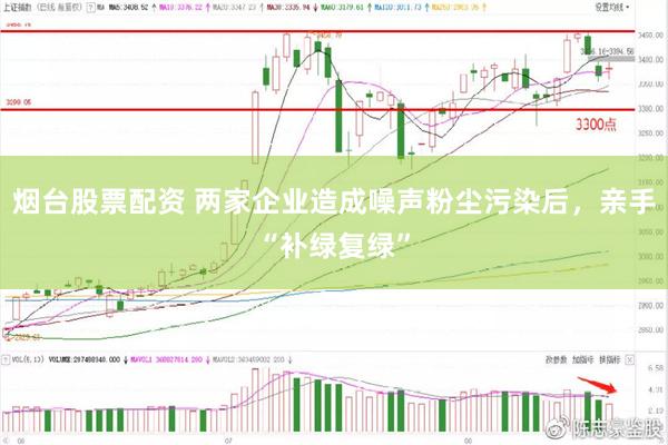烟台股票配资 两家企业造成噪声粉尘污染后，亲手“补绿复绿”