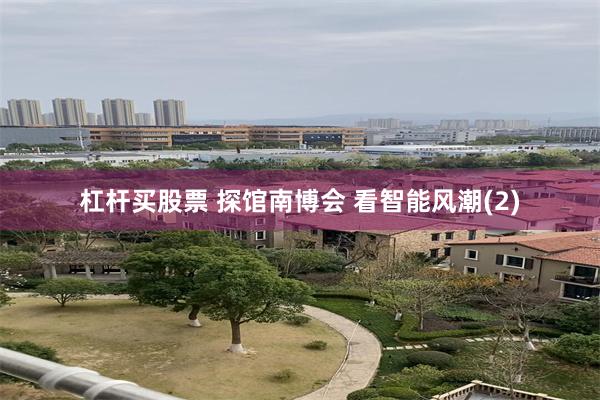 杠杆买股票 探馆南博会 看智能风潮(2)
