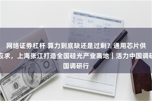 网络证劵杠杆 算力到底缺还是过剩？通用芯片供不应求，上海张江打造全国硅光产业高地｜活力中国调研行