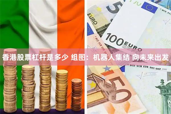 香港股票杠杆是多少 组图：机器人集结 向未来出发