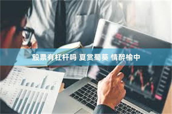 股票有杠杆吗 夏赏蜀葵 情醉榆中