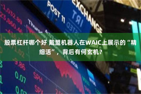 股票杠杆哪个好 戴盟机器人在WAIC上展示的“精细活”，背后有何玄机？