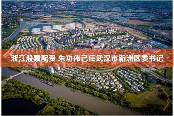 浙江股票配资 朱功伟已任武汉市新洲区委书记