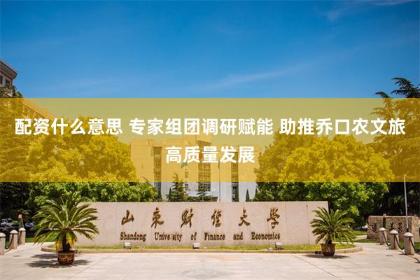 配资什么意思 专家组团调研赋能 助推乔口农文旅高质量发展
