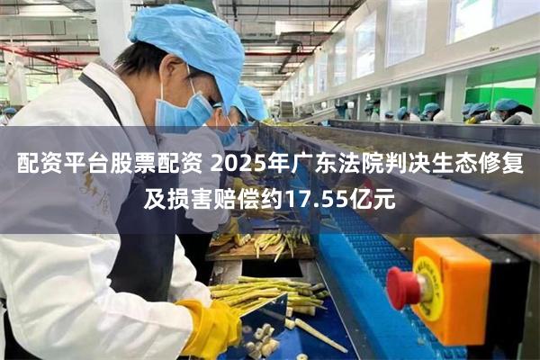 配资平台股票配资 2025年广东法院判决生态修复及损害赔偿约17.55亿元
