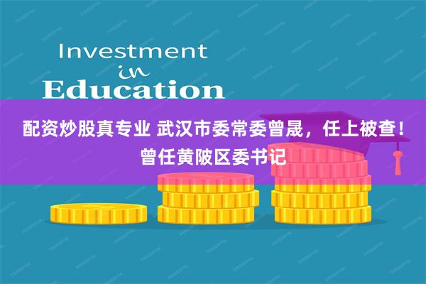 配资炒股真专业 武汉市委常委曾晟，任上被查！曾任黄陂区委书记