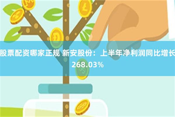 股票配资哪家正规 新安股份：上半年净利润同比增长268.03%