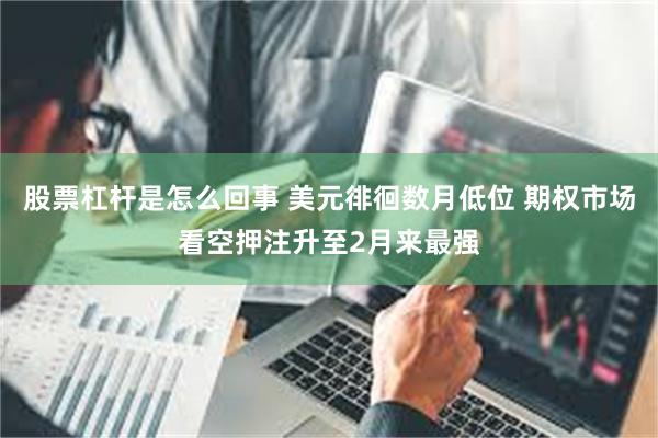 股票杠杆是怎么回事 美元徘徊数月低位 期权市场看空押注升至2月来最强