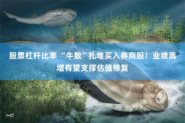股票杠杆比率 “牛散”扎堆买入券商股！业绩高增有望支撑估值修复