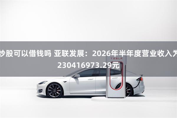 炒股可以借钱吗 亚联发展：2026年半年度营业收入为230416973.29元