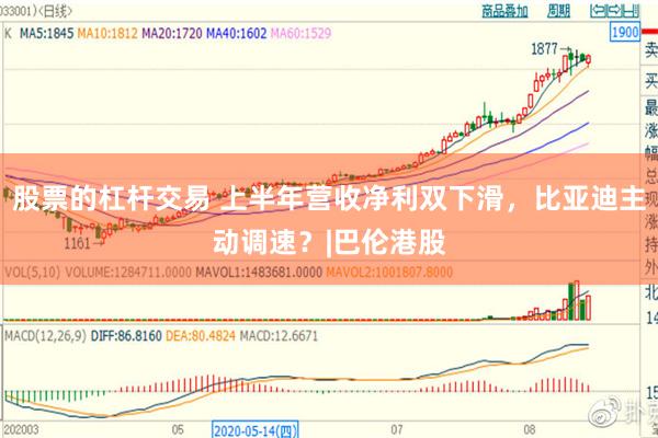 股票的杠杆交易 上半年营收净利双下滑，比亚迪主动调速？|巴伦港股