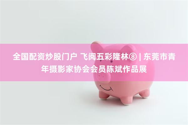 全国配资炒股门户 飞阅五彩隆林⑧ | 东莞市青年摄影家协会会员陈斌作品展