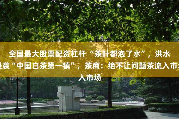 全国最大股票配资杠杆 “茶叶都泡了水”，洪水侵袭“中国白茶第一镇”，茶商：绝不让问题茶流入市场