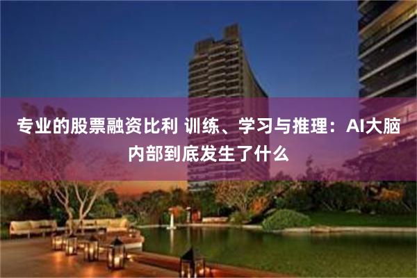 专业的股票融资比利 训练、学习与推理：AI大脑内部到底发生了什么