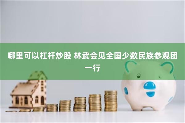 哪里可以杠杆炒股 林武会见全国少数民族参观团一行