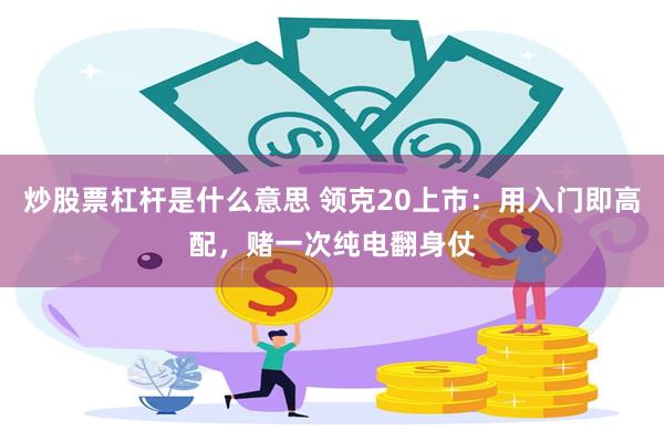 炒股票杠杆是什么意思 领克20上市：用入门即高配，赌一次纯电翻身仗