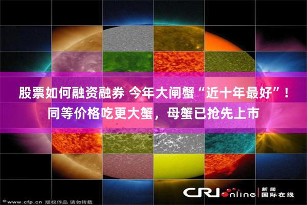 股票如何融资融券 今年大闸蟹“近十年最好”！同等价格吃更大蟹，母蟹已抢先上市