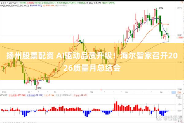 扬州股票配资 AI驱动品质升级!海尔智家召开2026质量月总结会