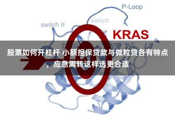 股票如何开杠杆 小额担保贷款与微粒贷各有特点,应急周转这样选更合适