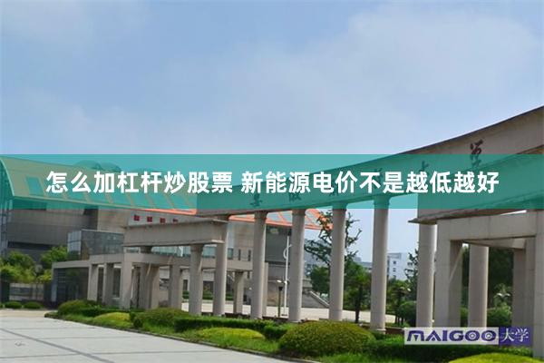 怎么加杠杆炒股票 新能源电价不是越低越好