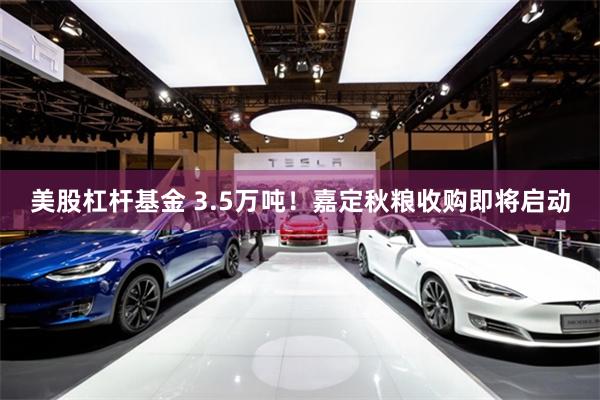 美股杠杆基金 3.5万吨！嘉定秋粮收购即将启动