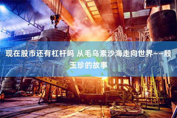 现在股市还有杠杆吗 从毛乌素沙海走向世界——殷玉珍的故事